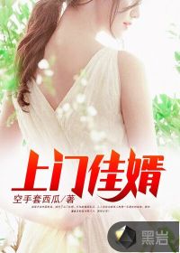 上门佳婿封面