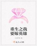 重生之我要嫁英雄封面