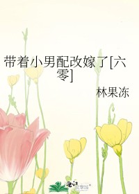 带着小男配改嫁了[六零]封面