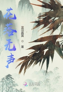 花落无声封面