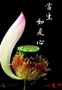 当生如是心封面