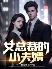 女总裁的小夫婿封面