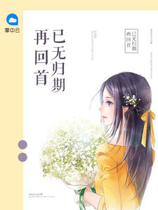 再回首已无归期封面