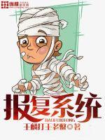 报复系统封面