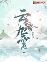 云踏九霄封面