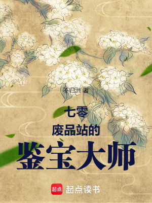 七零废品站的鉴宝大师封面