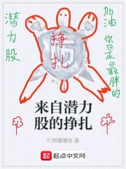 来自潜力股的挣扎封面