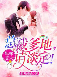 妈咪惹火:总裁爹地,请淡定!封面