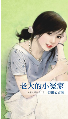 老大的小冤家封面