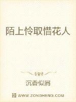 陌上怜取惜花人封面