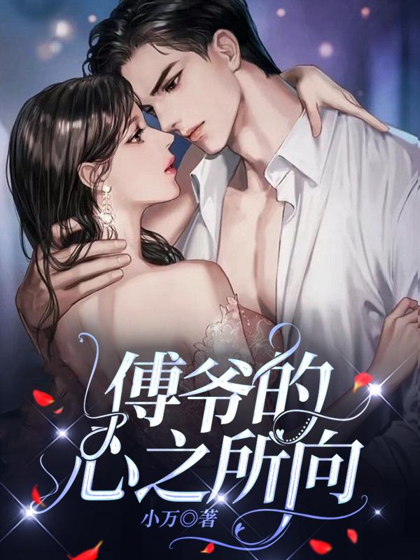 傅爷的心之所向封面