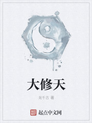 大修天封面