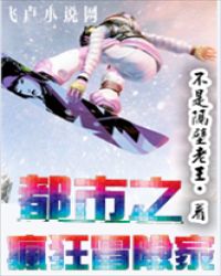 都市之疯狂冒险家封面