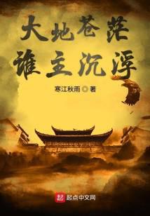 大地苍茫谁主沉浮封面