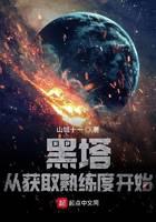 黑塔：从获取熟练度开始封面