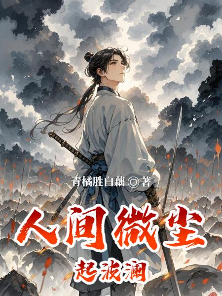 人间微尘起波澜封面