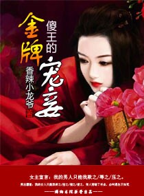 傻王的金牌宠妾封面