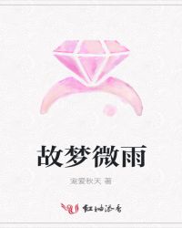 故梦微雨封面