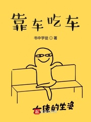 靠车吃车封面