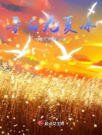 寻白九夏冰封面