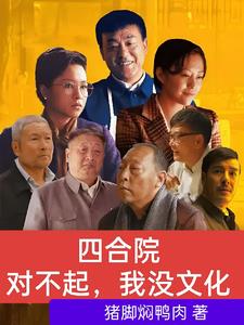 四合院：对不起，我没文化封面