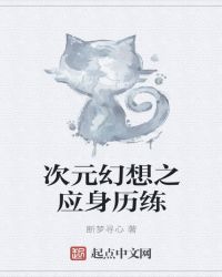 次元幻想之应身历练封面