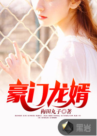 豪门龙婿封面