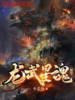 龙武星魂封面