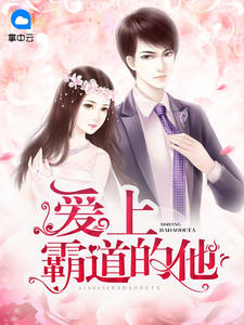 爱上霸道的他封面