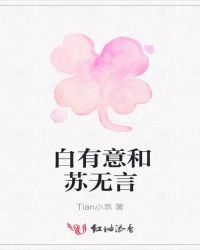 白有意和苏无言封面