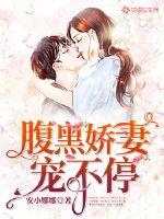 腹黑娇妻宠不停封面