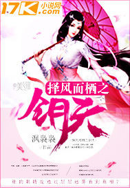 择风而栖之钥天封面