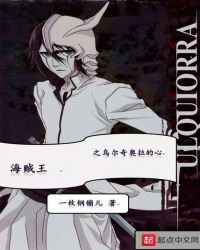 海贼王之乌尔奇奥拉的心封面