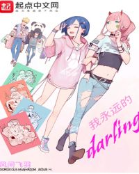 我永远的darling封面