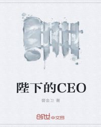 陛下的CEO封面