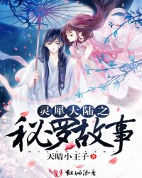 灵犀大陆之秘罗故事封面