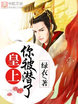 皇上，你被潜了封面