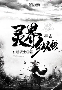 神古灵界纵横封面