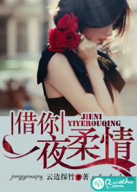 借你一夜柔情封面