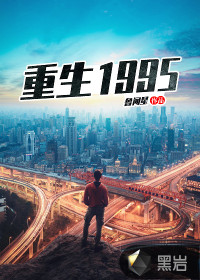 重生1995封面