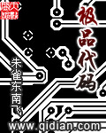 极品代码封面