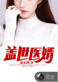 盖世医婿封面