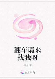翻车请来找我呀封面