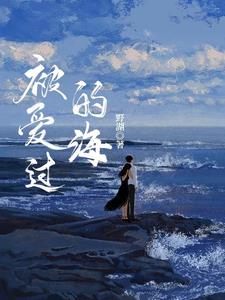 被爱过的海封面