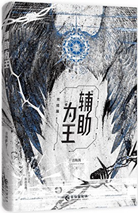 辅助为王[全息]封面