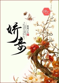 娇妾封面