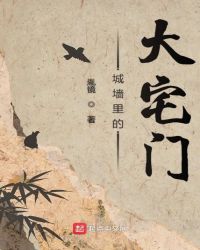 城墙里的大宅门封面