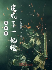 我真的变成了一把枪封面