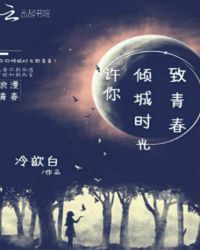 许你倾城时光致青春封面