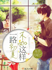 不如这样，一路初夏封面